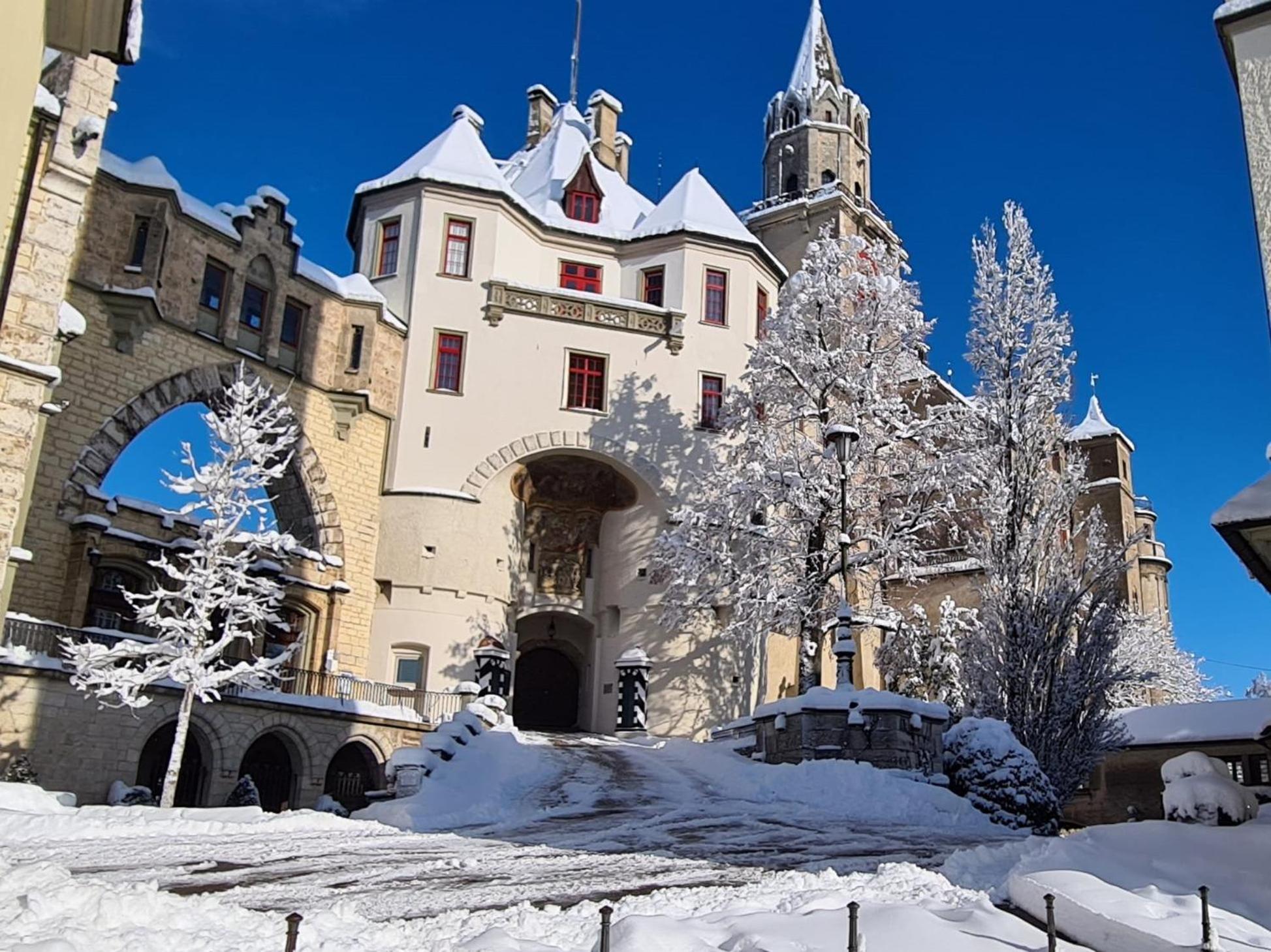 Apartment Am Schloss 지그마링엔 외부 사진